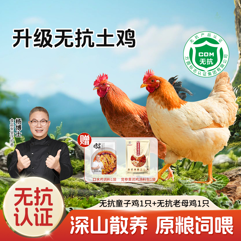 [杨博士自营 无抗老母鸡*1+无抗童子鸡*1]下单还有好礼赠送