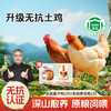 [杨博士自营 无抗老母鸡*1+无抗童子鸡*1]下单还有好礼赠送 商品缩略图0