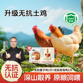 [杨博士自营 无抗老母鸡*1+无抗童子鸡*1]下单还有好礼赠送