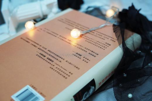 万千心理·克莱因学派思想新辞典（精装） 商品图5