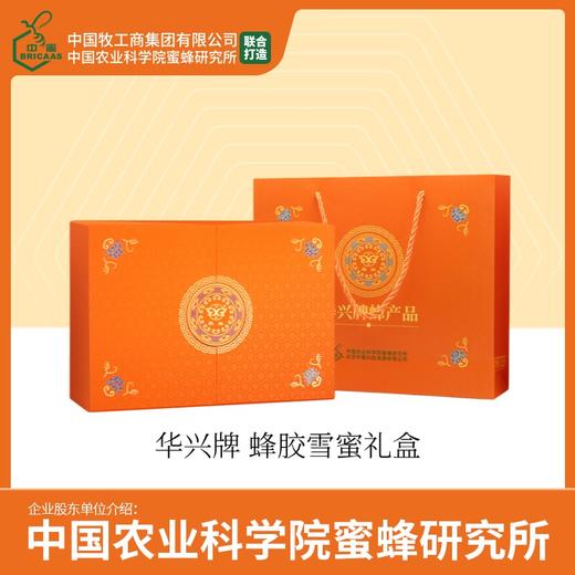 华兴牌 橙意礼盒 年货节礼盒 提高免疫力 蜂胶双支礼盒 含雪蜜500g一瓶 商品图1