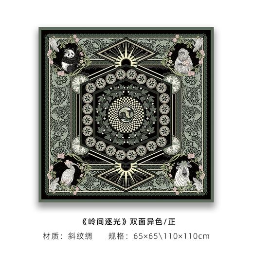 岭间逐光 商品图0