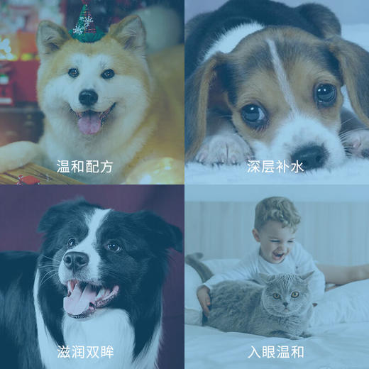 闪粹角膜修复凝胶SentrX美国0.75%交联透明质酸钠宠物猫狗角膜溃疡干眼症 商品图4