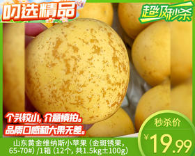 山东黄金维纳斯小苹果（金斑锈果，65-70#）/1箱（12个，共1.5kg±100g）