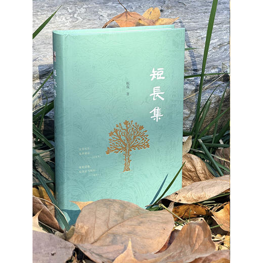 短长集 商品图2