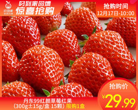丹东99红颜草莓红果（300g±15g/盒 15颗）