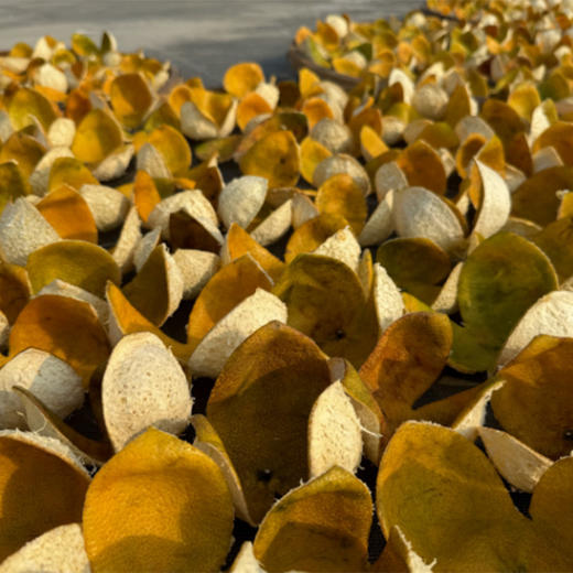 原枝大红陈皮基地直邮 商品图1