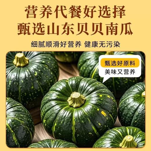 贝贝南瓜羹 食粮餐补贝贝南瓜羹高纤维膳食低脂早餐营养粥软糯细腻.甘甜栗香 商品图2