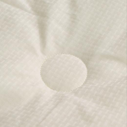 一年仅团一次！【艾能驱寒大豆春秋被，冬被】大豆蛋白纤维+艾草纤维 亲肤柔软 吸湿透气  ，现货发出，不用等预售~ 商品图2