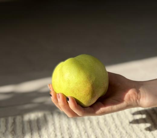 新疆玉露香梨梨中王者，水分爆表，皮薄脆甜，入口无渣 商品图3