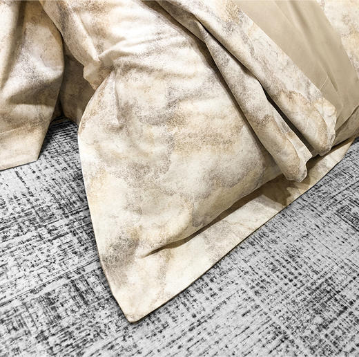 帝豪纯棉磨毛床单四件套（温言-浅咖）【A35】 商品图1