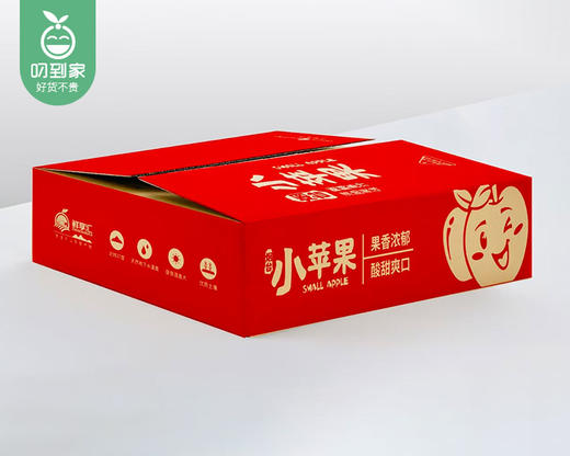 【预售-12月22日配送】山东黄金维纳斯小苹果（金斑锈果，65-70#）/1箱（12个，共1.5kg±100g） 商品图6