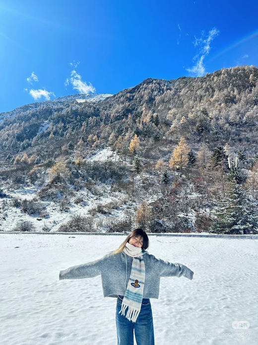 2512306    羊驼毛🦙土星围巾 3色 商品图1