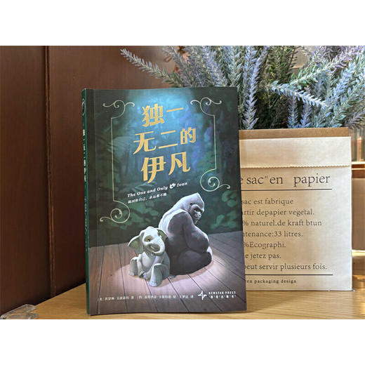 独一无二的伊凡 商品图4