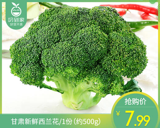【叼鲜蔬】甘肃新鲜西兰花/1份（约500g） 商品图0