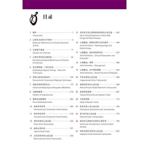 临床心律失常与电生理学：《Braunwald 心脏病学》姊妹卷 第4四版 牛国栋 刘彤 丁立刚 郑黎晖 聂振宁 主译 北京大学医学出版社 商品图3