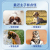 凯塔斯派实净catalysis RENALOF 西班牙犬猫泌尿道养护结石结晶 商品缩略图2