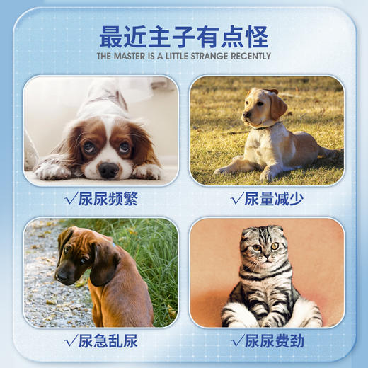 凯塔斯派实净catalysis RENALOF 西班牙犬猫泌尿道养护结石结晶 商品图2