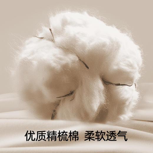 【即弃袜】有棵树一次性抗菌免洗男士中筒日抛袜10双装-O3150 商品图2