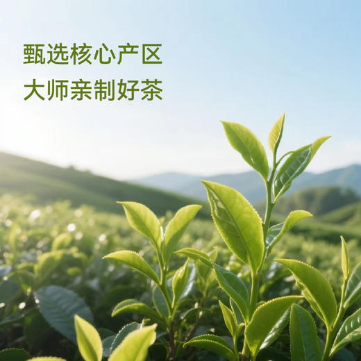 大师非遗六堡系列，核心产区，大师亲制好茶！专业陈藏，祛湿好喝 商品图2