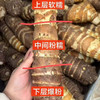 【甄选 “芋中优品” 营养健康】历经多代筛选培育✅粉糯度、甜度远超普通香芋，自然鲜醇不打折自带 “高粉、高糯、高香” ， 商品缩略图1