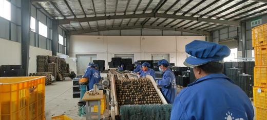 合作产品/ 高原有机鸭嘴奇异果 商品图8