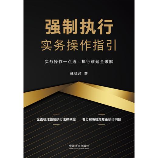 强制执行实务操作指引 商品图2
