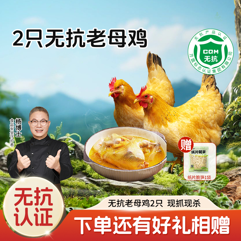 【杨博士 2只无抗老母鸡】正宗深山散养老母鸡  1只净重: 1.8斤及以上 毛重3斤以上