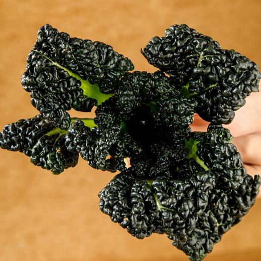 随州泡泡青【又叫皱叶黑白菜，这颗藏匿于荆楚大地之上的绿色瑰宝🌟】 商品图3