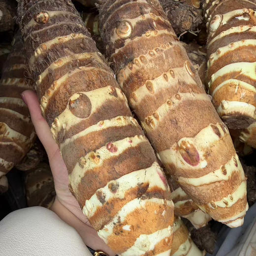 【甄选 “芋中优品” 营养健康】历经多代筛选培育✅粉糯度、甜度远超普通香芋，自然鲜醇不打折自带 “高粉、高糯、高香” ， 商品图3