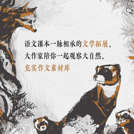 荒野孤狼 商品图2