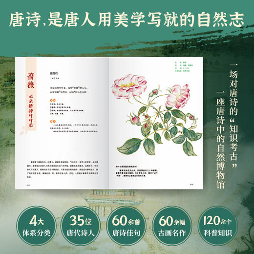 唐诗博物课:手绘图鉴版.植物卷 商品图1