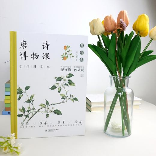唐诗博物课:手绘图鉴版.植物卷 商品图3