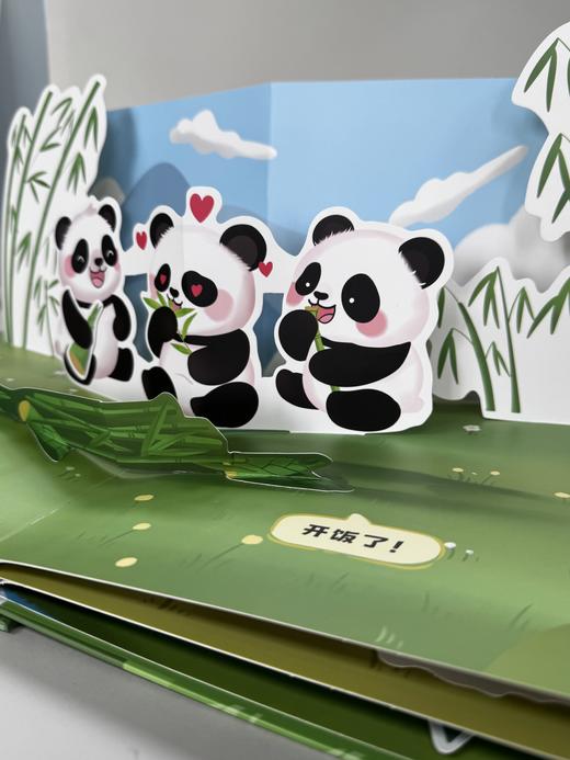 【新书预售】宝宝秒懂大熊猫 &3387 商品图2