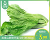 【叼鲜蔬】武夷山新鲜芥菜/1份（约300g） 商品缩略图0