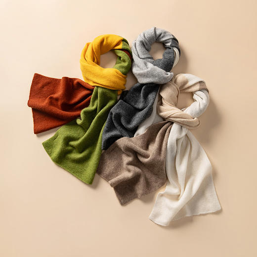 S.Y.C【云绒柔光】100 山羊绒通用简约百搭保暖围巾 商品图2