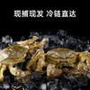 优选丨【现货礼盒】精品大闸蟹活蟹礼盒  口感鲜美,肉香十足! 商品缩略图1