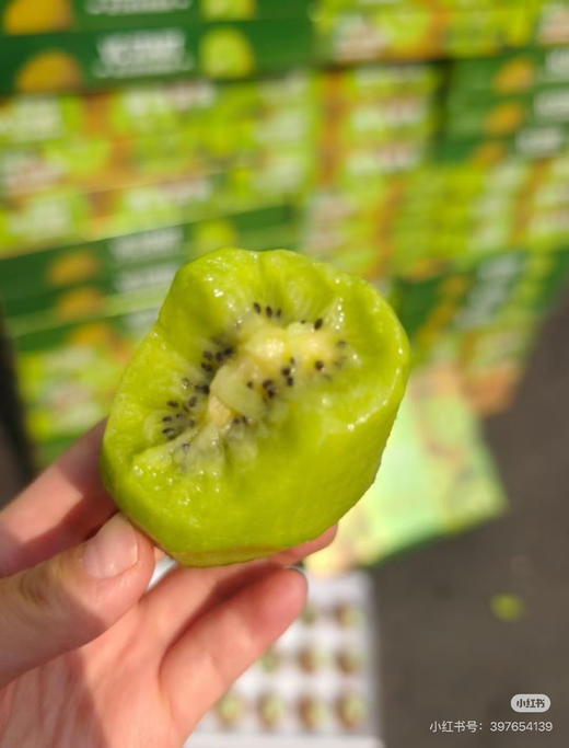 瑞玉即食猕猴桃16枚礼盒装 商品图3