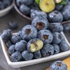 博士溯源丨云南花香蓝莓 【空运新鲜直达】 商品缩略图1