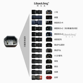 理宝龙转换头