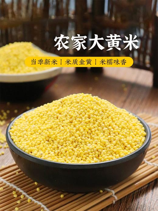 敖汉大黄米 内蒙赤峰优质产地 当季新米 颗粒饱满 干净无杂 2.5kg 商品图4