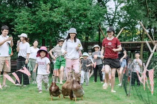 1.2元旦专场❗️【双流黄水镇·元旦喜乐会】摘橘子、DIY大橘大利小夜灯、打糍粑、画糖画、铁盒爆米花、烤年糕、赶鸭子 商品图7