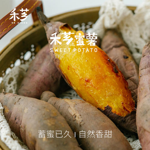 【顺丰发货】禾芗蜜薯 自然香甜 皮薄好剥 甜度高 入口绵密 自有基地种植 商品图0