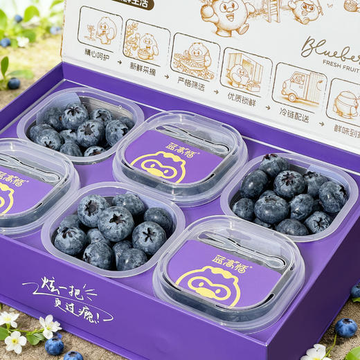 蓝高恬6杯礼盒装(果径18mm)100gx6杯 商品图4