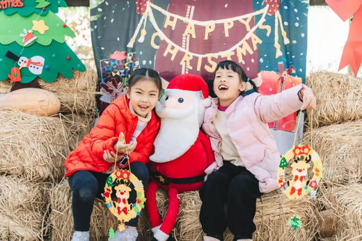 12.21（日）【双流空港花田】莓好圣诞一日亲子营：摘草莓、diy巧克力草莓、草莓花束、diy圣诞花环、圣诞月球灯 商品图6