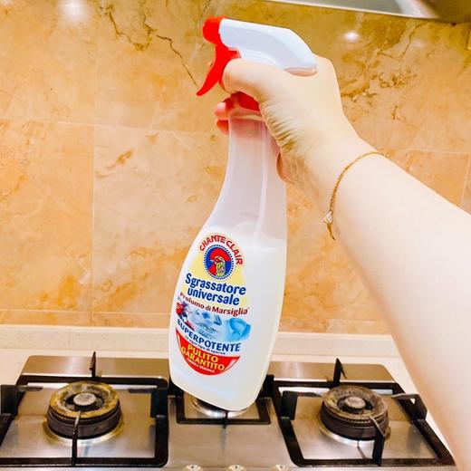 大公鸡·家清专场，意大利国民品牌，去污超快、轻松搞定全屋清洁！ 商品图4