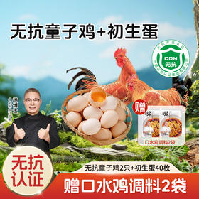 【杨博士自营 家有宝贝】无抗童子鸡2只初生蛋40枚另赠口水鸡调料2袋