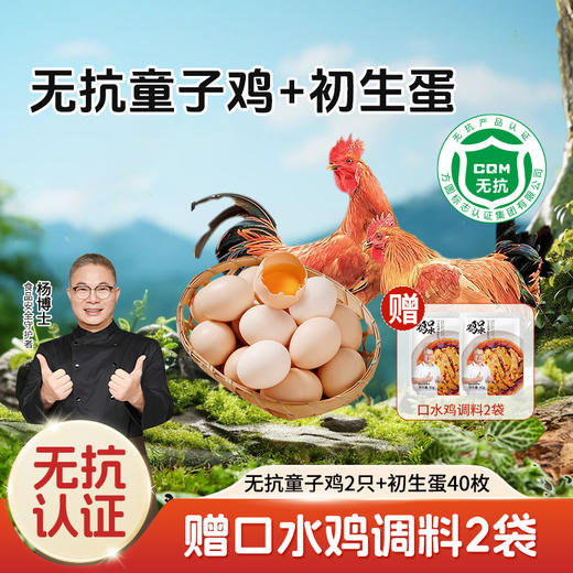 【杨博士自营 家有宝贝】无抗童子鸡2只初生蛋40枚另赠口水鸡调料2袋 商品图0