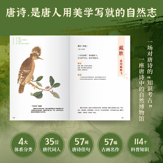 唐诗博物课:手绘图鉴版.动物卷 商品图2