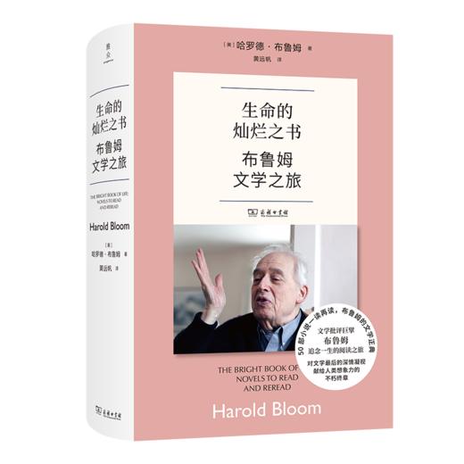 生命的灿烂之书：布鲁姆文学之旅 商品图0